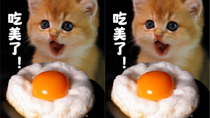 Năm Rồng thưởng thức bữa tối Michelin