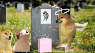 那小子要是敢欺负你，我就去吓死他