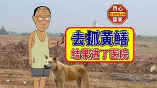 别笑！我们因为抓黄鳝结果进了医院！
