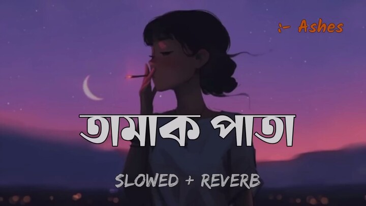 তামাক পাতা _ Slowed Reverb _ Tamak Pata _ Ashes _ আগুন জালালে উড়ে যাবে পাখি _ Lo