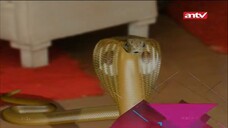 naagin episode 3