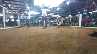4cocks derby  standing:w-w-w-draw
