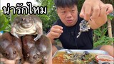 ต้มอึ่ง!! กินครั้งแรกแทบอ้วก อาการของคนกินครั้งแรกเนอะ สยองอยู่ 황소 개구리!! Eat frog!!