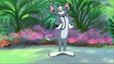 36.Tom and Jerry Hd Collection.