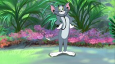 36.Tom and Jerry Hd Collection.