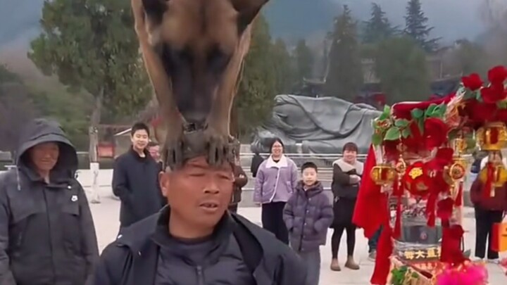 Other people's dog