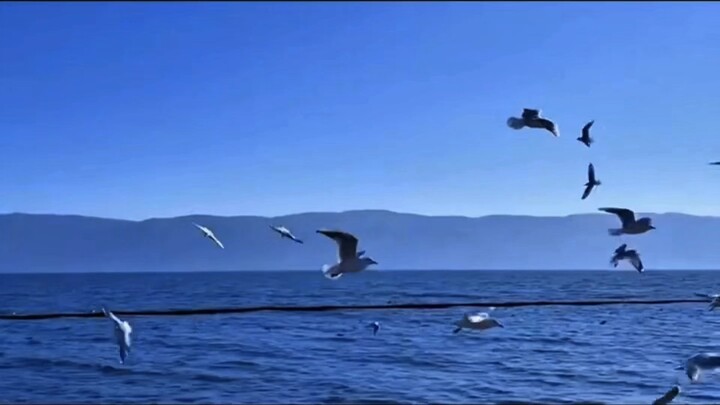 邓金凤_自我介绍