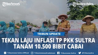 TP PKK Sultra Tanam 10.500 Bibit Cabai di 17 Kabupaten dan Kota se-Sulawesi Tenggara