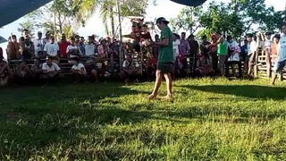 second win bulik grey, bumigay na