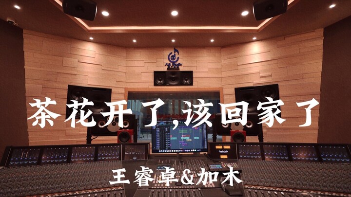 Wang Ruizhuo & Jiamu "Bunga Kamelia Mekar, Saatnya Pulang" – Dengar Keras di Studio Rekaman Mewah Ju