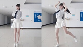 บั๊ม~บั๊ม~บั๊ม~กวางชนเข้ากับฉากกั้นแนวตั้ง