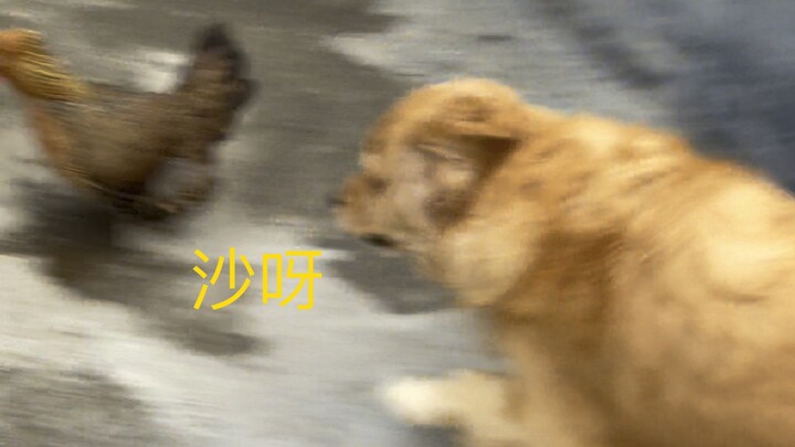 Tôi sẽ dùng cả cuộc đời mình để chữa lành khoảnh khắc này.