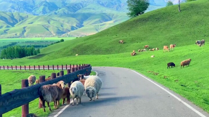 “Cách tốt nhất để giải tỏa lo lắng là trải nghiệm thiên nhiên”