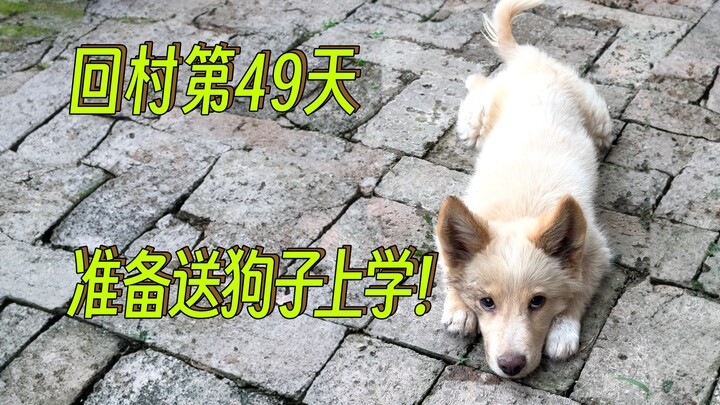 เลี้ยงสัตว์ก็มีช่วงคุ้มครองสำหรับมือใหม่ด้วยเหรอ?