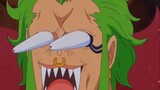 What are two faces!! One Piece