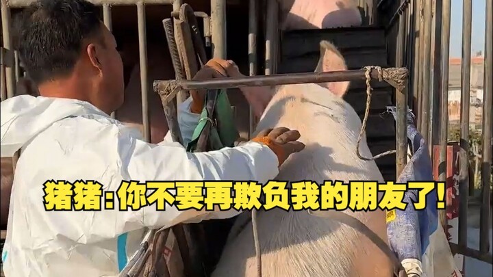 จู๋จู๋: เธออย่ามารังแกเพื่อนฉันอีกนะ!