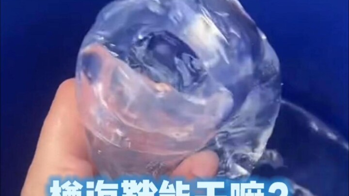 What can a salp do when it looks like this?