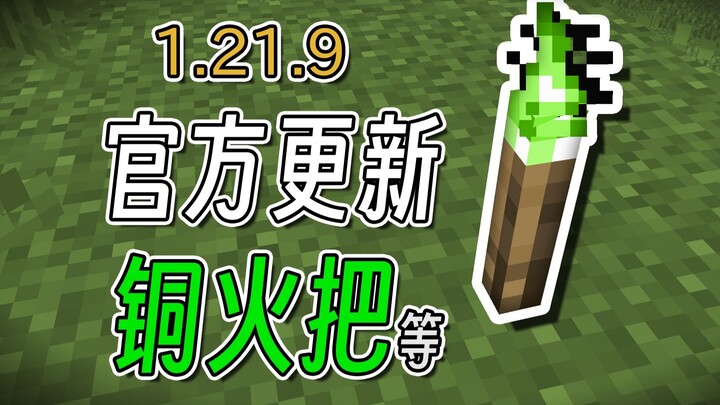 ใครกันนะที่ขอให้ทางการอัปเดตคบเพลิงสีเขียวลงในเวอร์ชันดั้งเดิมของ MC?