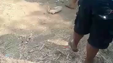 3rd win /21second  possum weater