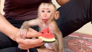 Adorable Tiny Baby Liheang Request Mom To Eat Watermelon Fruit