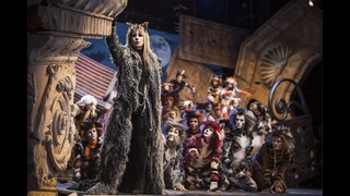 Cats, il musical in Italia in 90 secondi