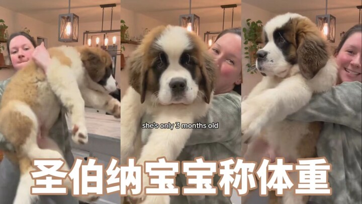 “我只是一个平平无奇的3个月大的宝宝，干嘛要暴露我的体重”