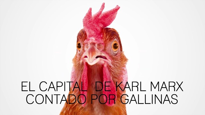 Comunismo explicado para niños (con gallinas)