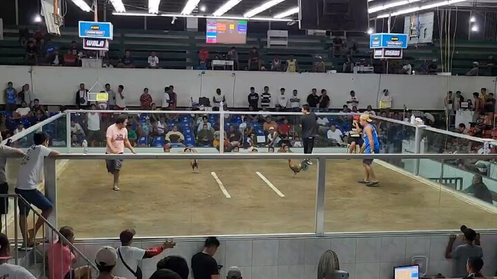 4hits argem col. 4th fight win