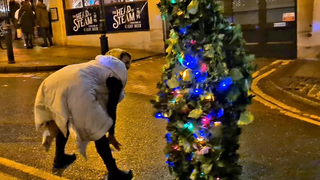 Bushman Prank- Pretty Girl Twerking with the Bushman บุชแมนเล่นตลก 2022