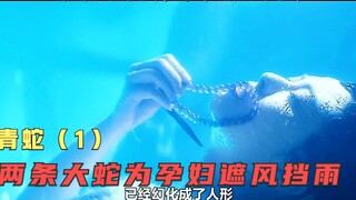 和尚在竹林中遇到孕妇产子，居然还有两条大蛇为其遮风挡雨