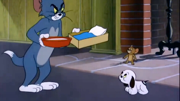 "Ketika saya tumbuh dewasa, saya menyadari bahwa Tom dan Jerry mengajarkan kita banyak hal"