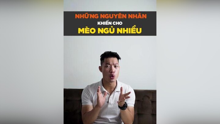 Những nguyên nhân khiến cho mèo ngủ nhiều tuitienpet petonesaigon petnhatrang dcgr