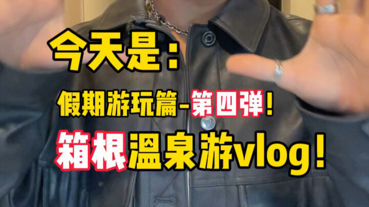 Hey, can I come over to your place and cook for you? Vacation Vlog Part 4: Hakone Edition!