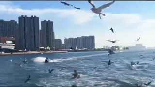 Danh ngôn nổi tiếng