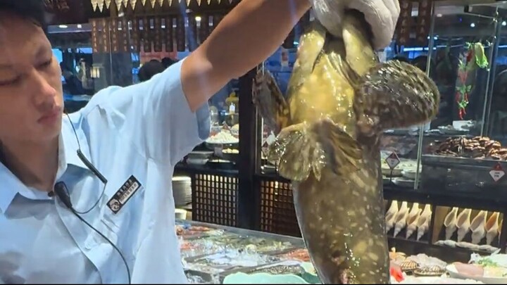 Kill the golden eel #goldeneel #eels#fish #monsterfishing #meat #moneyeel