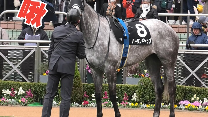 Berlingap was kissed by the stablehand because he’s just too cute = Berlingap