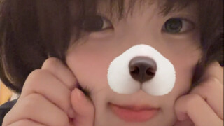 Puppy Gou dreams of saving the world! ! | Guess you like the fifth issue
