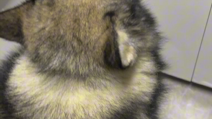 What is it?