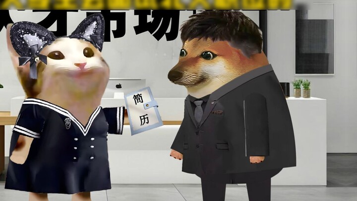 When college students go to interview for positions at Peking University