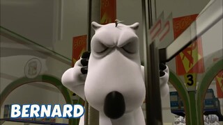 BERNARD BEAR || DOORS - CARTOON CHILDREN