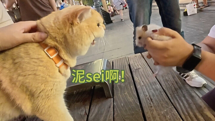 Oh? Apakah itu kamu? Jerry!