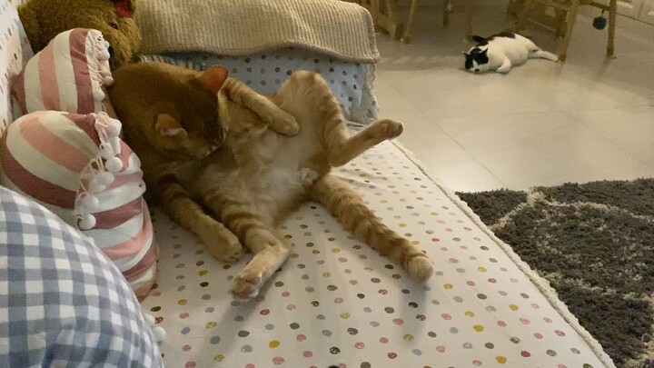 ชีวิตยามบ่ายในวันพักของนักตีแทน [มิโยะ]