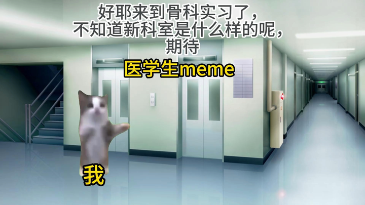 [猫meme]医学生骨科实习围观无菌操作木匠的一天