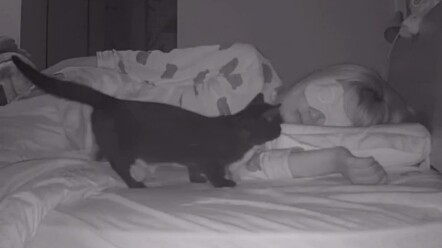 Con gái ở nhà một mình! Nhất định phải bảo vệ tốt bản thân nhé!