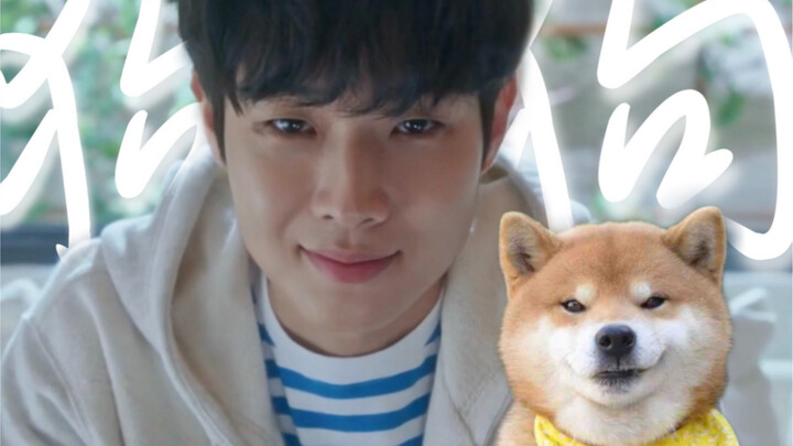 Anjing, yang disebut “bau anjing” itu kamu, kan!! Drama ini sebaiknya diganti judulnya menjadi “Cint