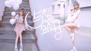 【梳子】终有一天会在舞台上闪闪发光吖🌟
