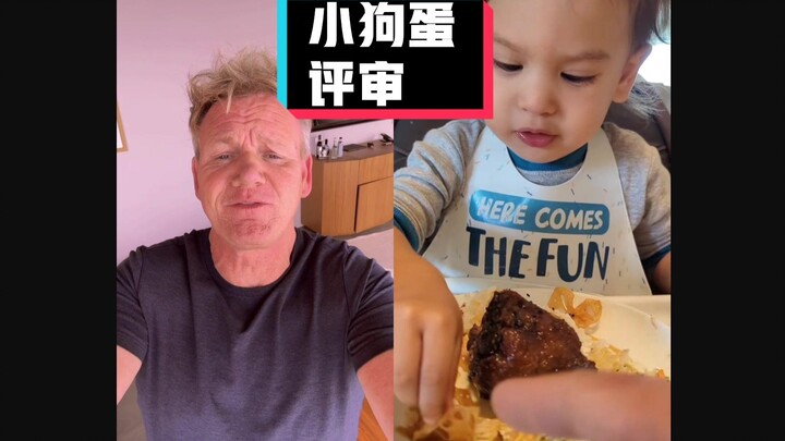 Gordon Ramsay's comment: Puppy, egg, oxtail #YYY translation group#