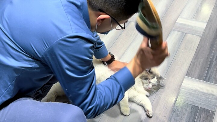 ฉันจะแจ้งเบาะแสชื่อจริงเกี่ยวกับเจ้านายที่ทารุณแมว