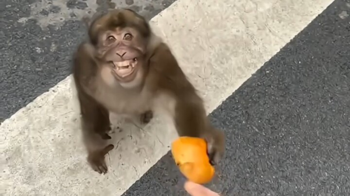 เขาถึงขั้นชูนิ้วกลางให้คุณเลยนะ