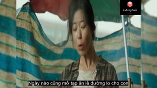 Tóm tắt phim: The king phần 2 #phimhaymoingay